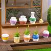 Boliginnredning – Dekorative terrariumer