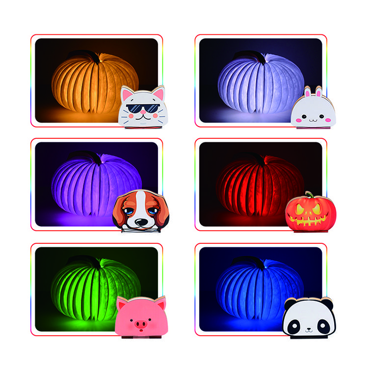 New Product 2021 Creative 3D Kids Projector USB Led Night Light Cartoon Portable Animal Book