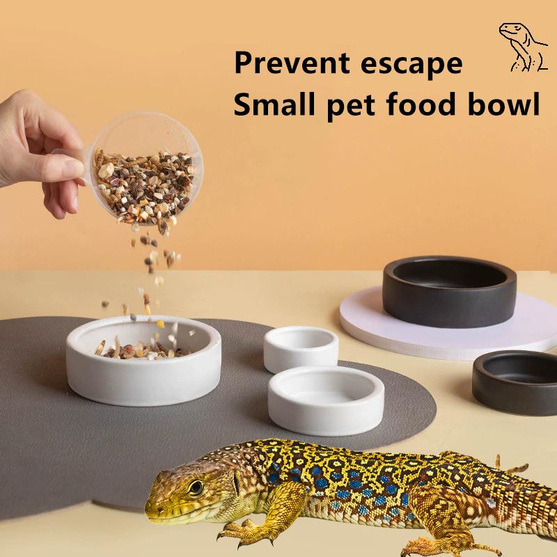 New Reptile Food Bowl Anti-Escape Ceramic Feeder Dish Black White Reptile Water Bowl For Hermit Crab Gecko Chameleon Corn Snake