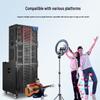 SAST Professional Line Array Stage Speaker System SD-25