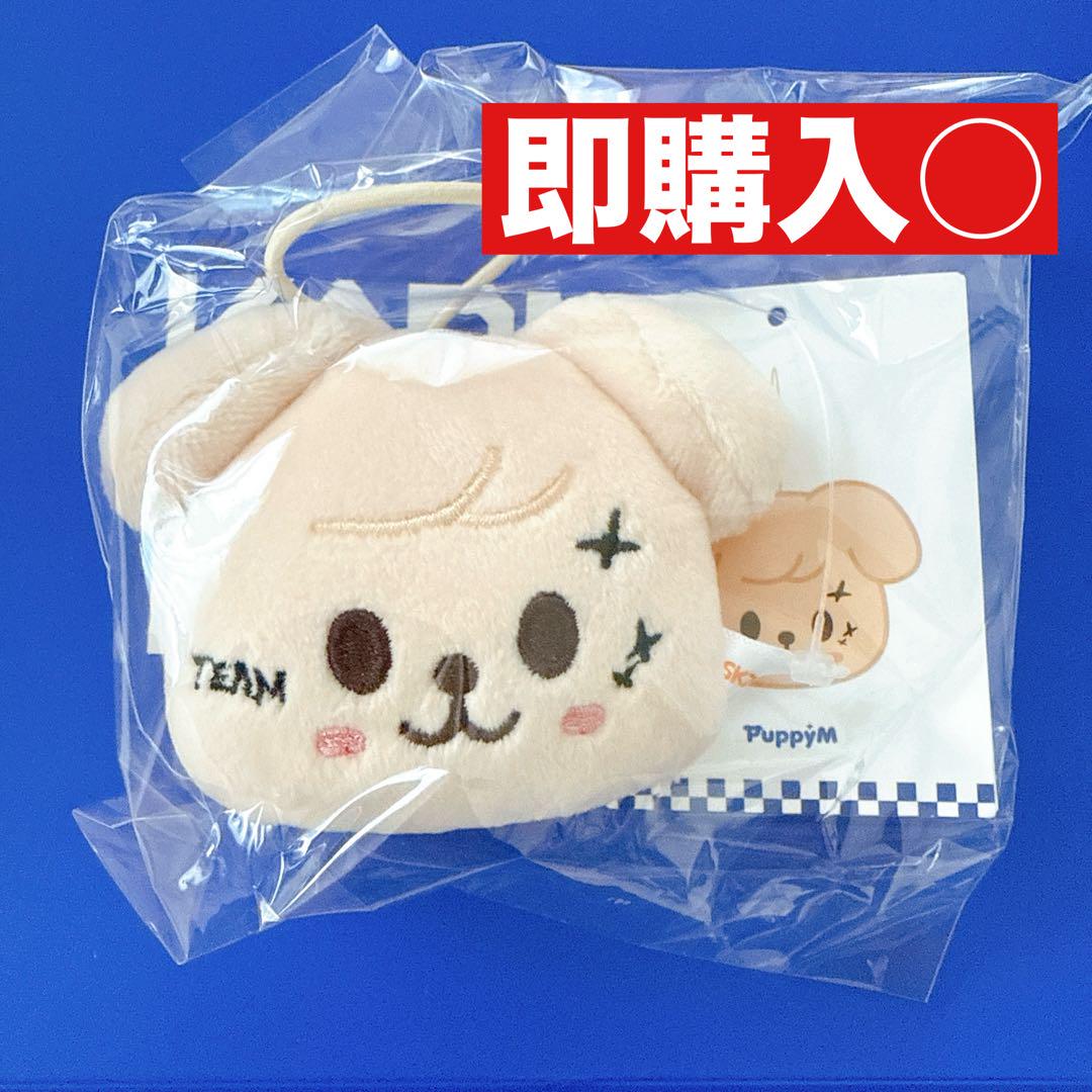 

[USED] Stray Kids KARMA POPUP Name Tag Papim