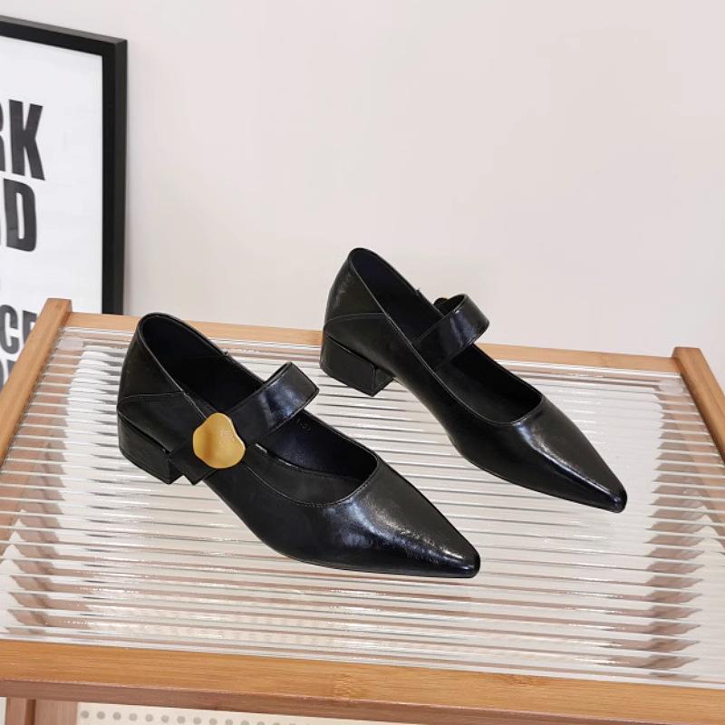 French Thick Heel Velcro Shallow Mouth Single Shoes Women's 2025 Autumn New Pointed Foreign Style Versatile Mary Jane Small Leather Shoes