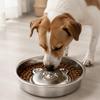 Easy To Wipe Clean Slow Feeder Dog Bowl Low-Height Slow-Feed with