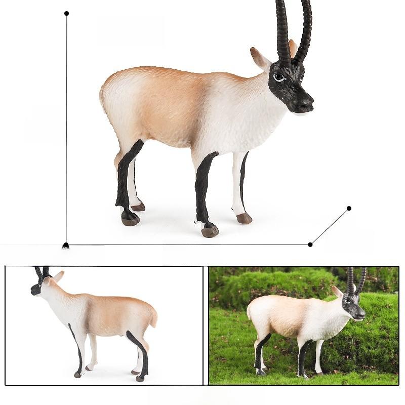 Wild Tibetan Antelope Solid Plastic Model Set For Kids Educational Play And Collecting
