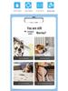 100-Pack Thickened Pet Pee Pads for Dogs and Cats - Absorbent, Deodorant, Urine Barrier