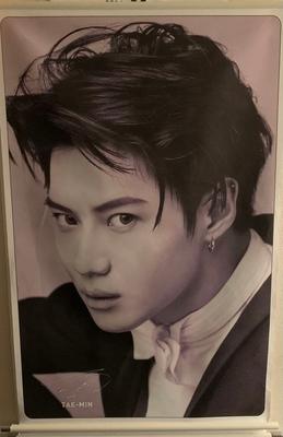 [USED] Korean Popular Boy Group SHINee's Taemin (Lee Taemin) Tapestry