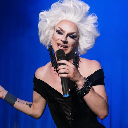 Abaodam Cordless Microphone, Handheld Microphone with Receiver, Rechargeable Microphone, Singer Microphone, 1 Set