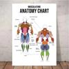 Muscle Anatomy Chart Quotes Canvas Painting Weightlifting Poster Print Color Pictures Gym Boy Room Wall Home Decor