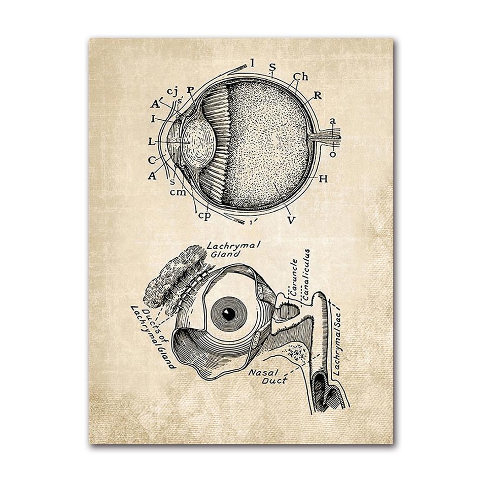 Wandbilder für Krankenhaus, Arzt, Büro, Dekor, Wandkunst, Leinwand, Malerei, Anatomie, Skelett, nordische Poster und Drucke, Vintage
