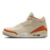 Air 3 Retro TEX Starfish