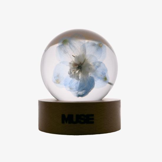 Buy BTS Jimin MUSE Paper Weight at affordable prices — free
