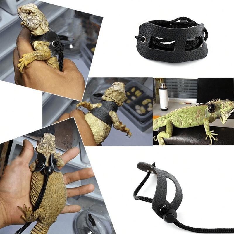 3 Packs Adjustable Lizard Leash Set - Small Reptile Harness for Bearded Dragon, Chameleon & Outdoor Walking (S/M/L)