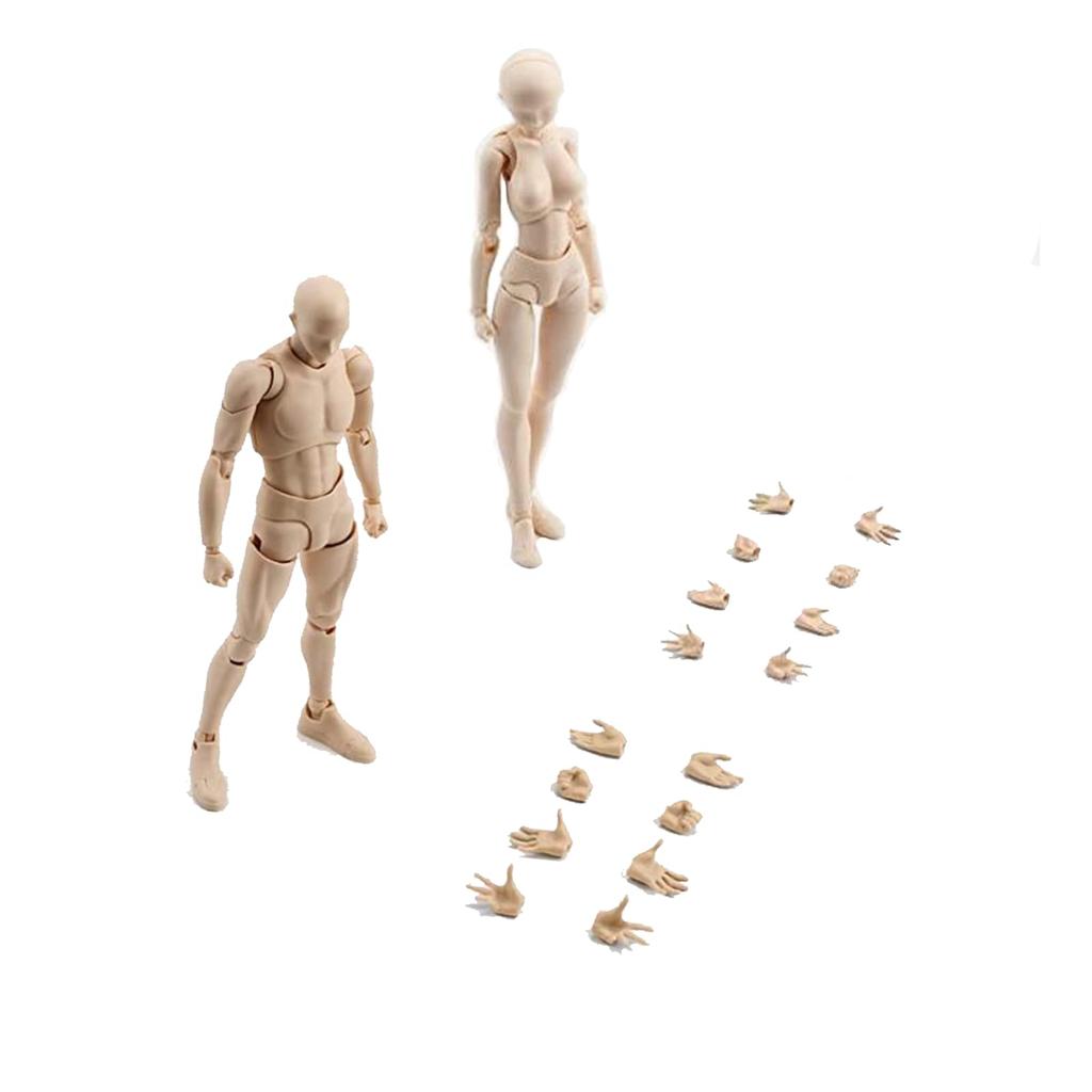 Gnallang Drawing Doll, Articulated, with Stand, Changeable Gestures, Cartoon Model, Muscular Body, Male and Female, Skin Color