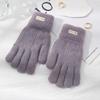 New Winter Knitted Plush Double-layer Gloves for Women Men Solid Color Touchscreen Driving Gloves Outdoor Warm Cycling Mittens