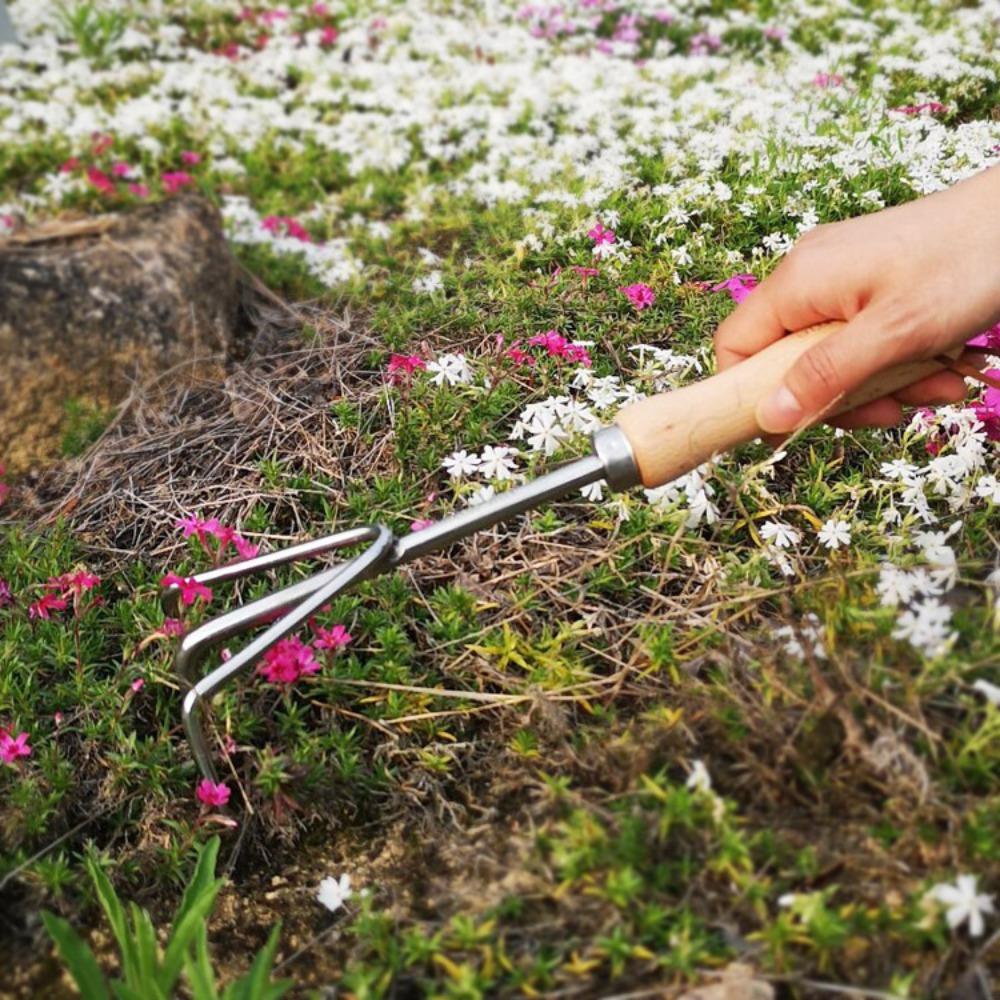 

Stainless Steel L-shaped Weeding Sickle with Wooden Handle Crevice Weeding Tool Patio