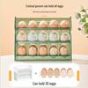 Automatic Flip Egg Storage Rack for Refrigerator Door