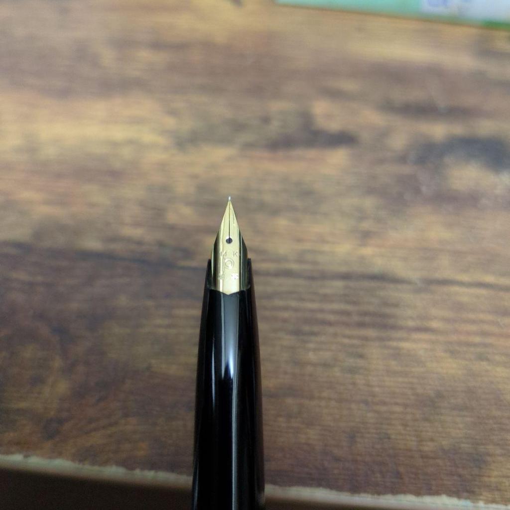 Used Platinum Fountain Pen Pocket Fine Nib 14K