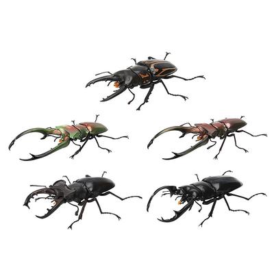 Biografische Analyse des Rothirschgeweihkäfers und des Klauenform-Insekts 07 Käfer Gacha Simulation Tier Bewegliche Gelenke Figur Spielzeug