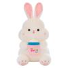 New Bottle Rabbit Doll Plush Toy Cute Little Rabbit Doll Rag Doll Children's Doll Birthday Gift