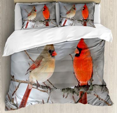 Bird Vermilion Beige Soft Duvet Cover Pair of Northern Cardinal Birds On A Tre Avian Wildlife Fauna Vermilion for Bedrom Decoration