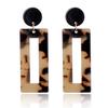 Japanese and Korean Minimalist Brand Leopard Print Earrings Made of Acrylic Sheet and Geometric Resin Earrings