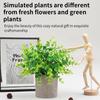 Eukalyptus Künstliche Pflanzen Bonsai Kleiner Baum Topf Kunstpflanze Blumen Topfpflanzen Ornamente Für Zuhause Zimmer Tisch Zellstofftopf Gartendekor