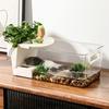 Transparent Reptile Terrarium Dry Wet Separation Turtle Breeding Box for Tortoise Terrapin