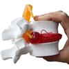 BoNew-Oral 1:1.5 Anatomical Human Lumbar Vertebrae Degenerative Lumbar Human Spine Model White Color