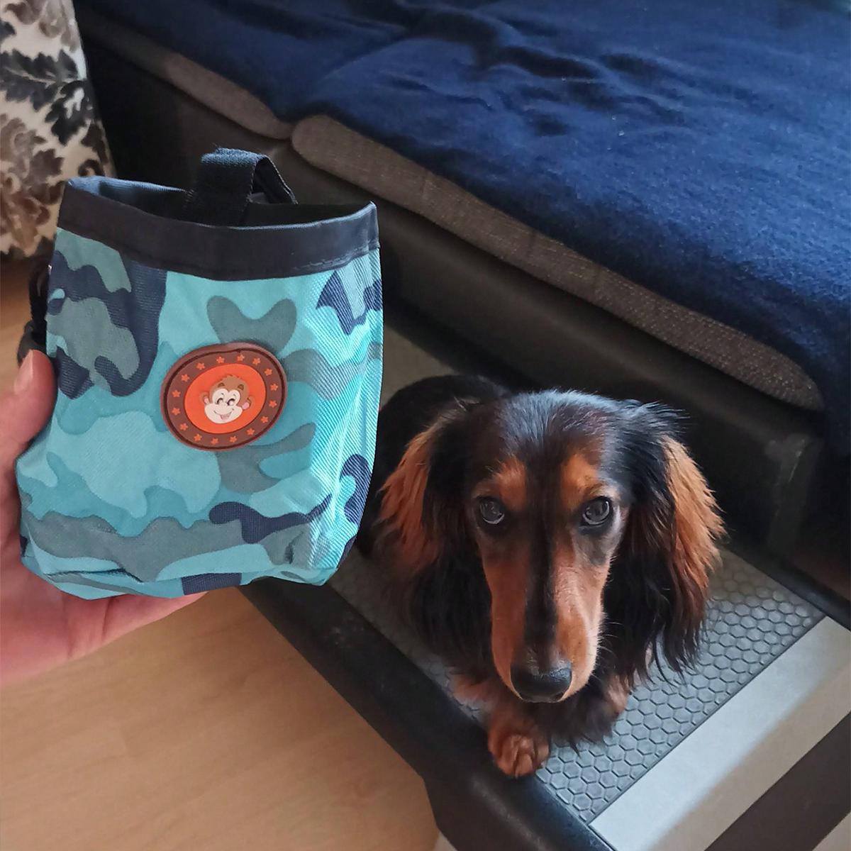 

Dog Training Pouch, Portable Dog Food Waist Bag Pack Dog Walking Treat Bag With Adjustable Elastic Buckle синій