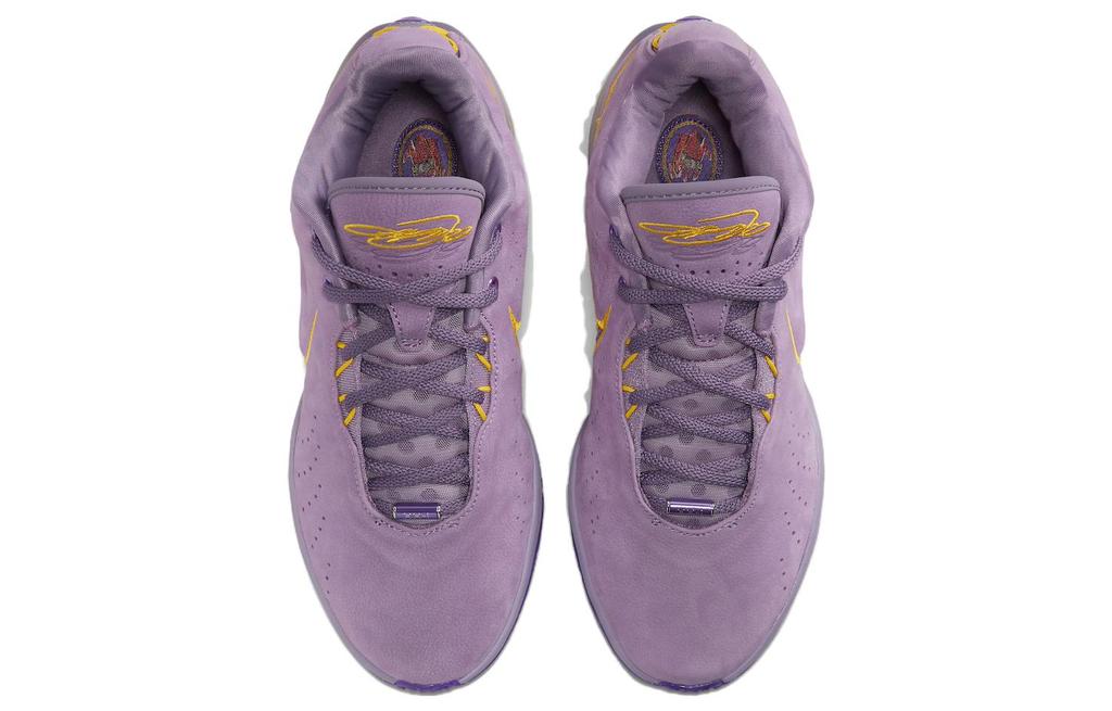 Nike LeBron 21 'Purple Rain' FV2345-500