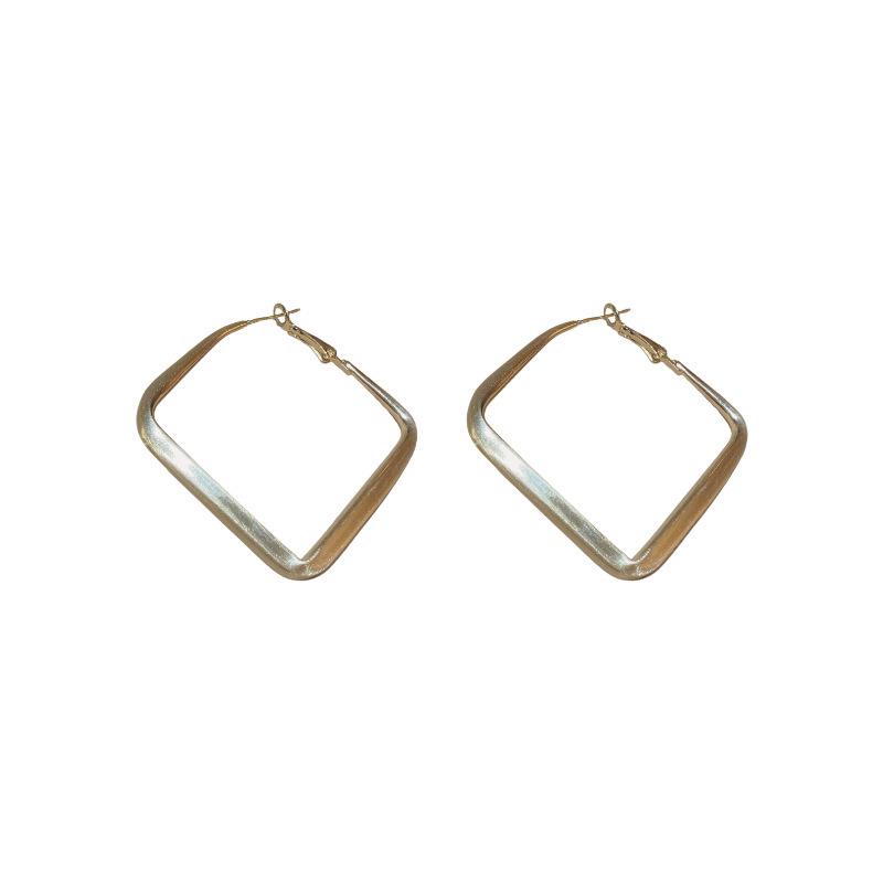 Silver Needle Geometric Metal Earrings: Elegant, Fashionable, High-End Design Stud Jewelry.