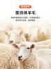 [Sheep Wool Thickening] Men's versatile semi high neck sweater for autumn and winter, solid color pullover wool sweater, inner layer