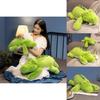 Adorable Cartoon Style Plush Crocodile Pillow Doll Soft Pp Cotton Toy For Girls