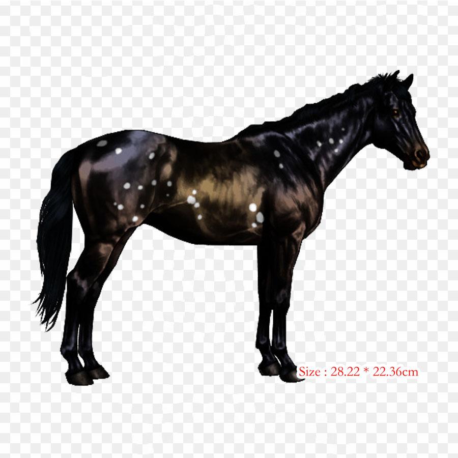 

Арабская лошадь, американская лошадь, термотрансферная печать, виниловые нашивки, наклейки для одежды, аппликации «сделай сам», моющиеся нашивки