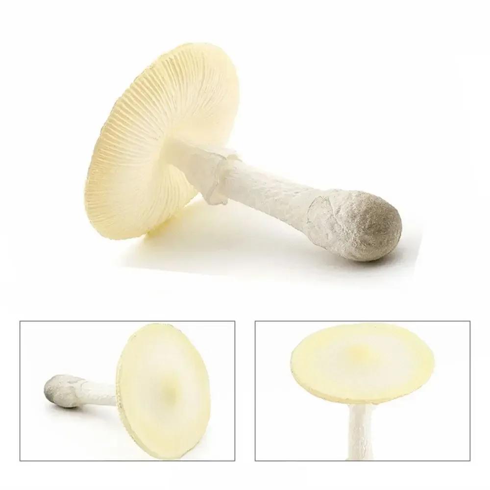 Gemüsemodell Pilzfiguren Matsutake Auster Künstliche Simulation Pilz Kräuterseitling Pflanzenpilzmodell Gartendekoration