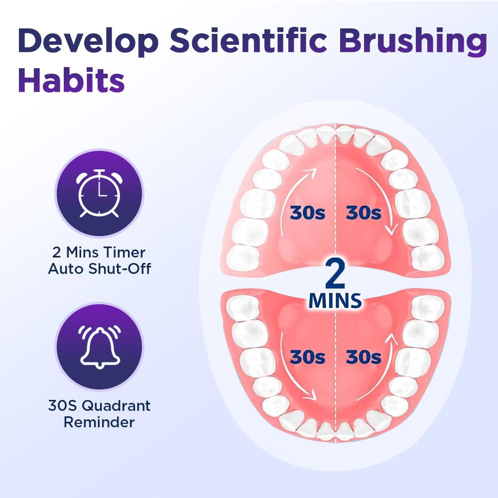 Rotating Electric Toothbrush for Adults 5 Cleaning Mode USB Rechargeable Sonic Toothbrush With 4pcs Replace Heads Smart Timer
