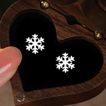 E173 -S925 Sterling Silver Snowflake Series Earrings for Women Fashionable Light Luxury Design Christmas Jewelry Gift