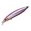 Daiwa Shoreline Shiner Z Vertis R 98F