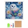 Kit - Sparkling DIY for Adults and Kids, Home Wall Decor