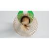 Yamamoto Takizayikuya Made Japan Tea Ceremony Tools Chasen (tea Whisk) Black Bamboo True Number Bristles.