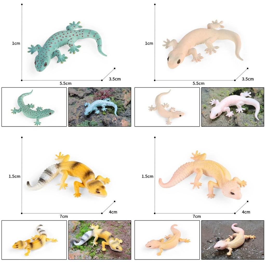 Kids Realistic Animal Model Gecko Wall Lizard Educational Toy For Science Learning
