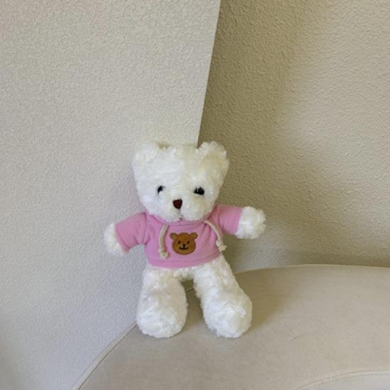 Ins Plush Teddy Bear Doll Sweatshirt Bear Doll Sleep Hug Bear Boy and Girl Toy Birthday Gift