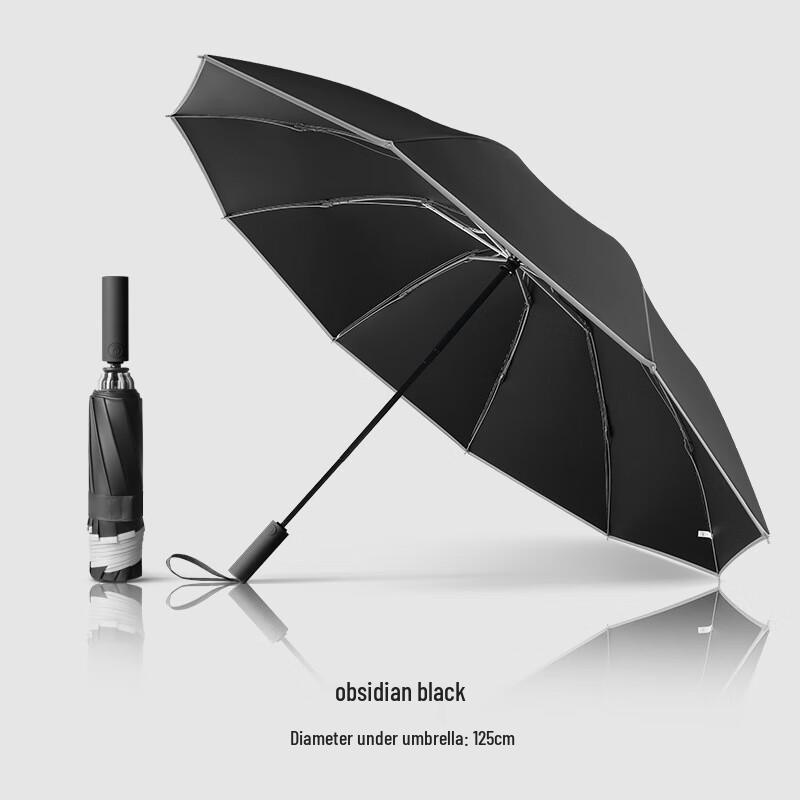 Xinyuxuan 10-Rib Reverse Folding Business Umbrella