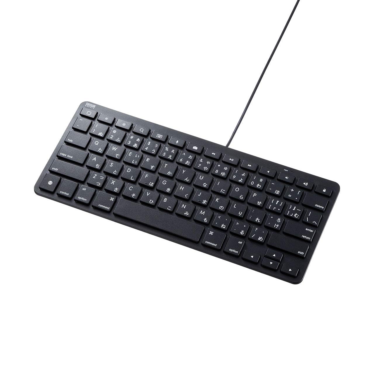 

Sanwa Supply iPad Keyboard Wired Lightning Connection Black SKB-IP3BK