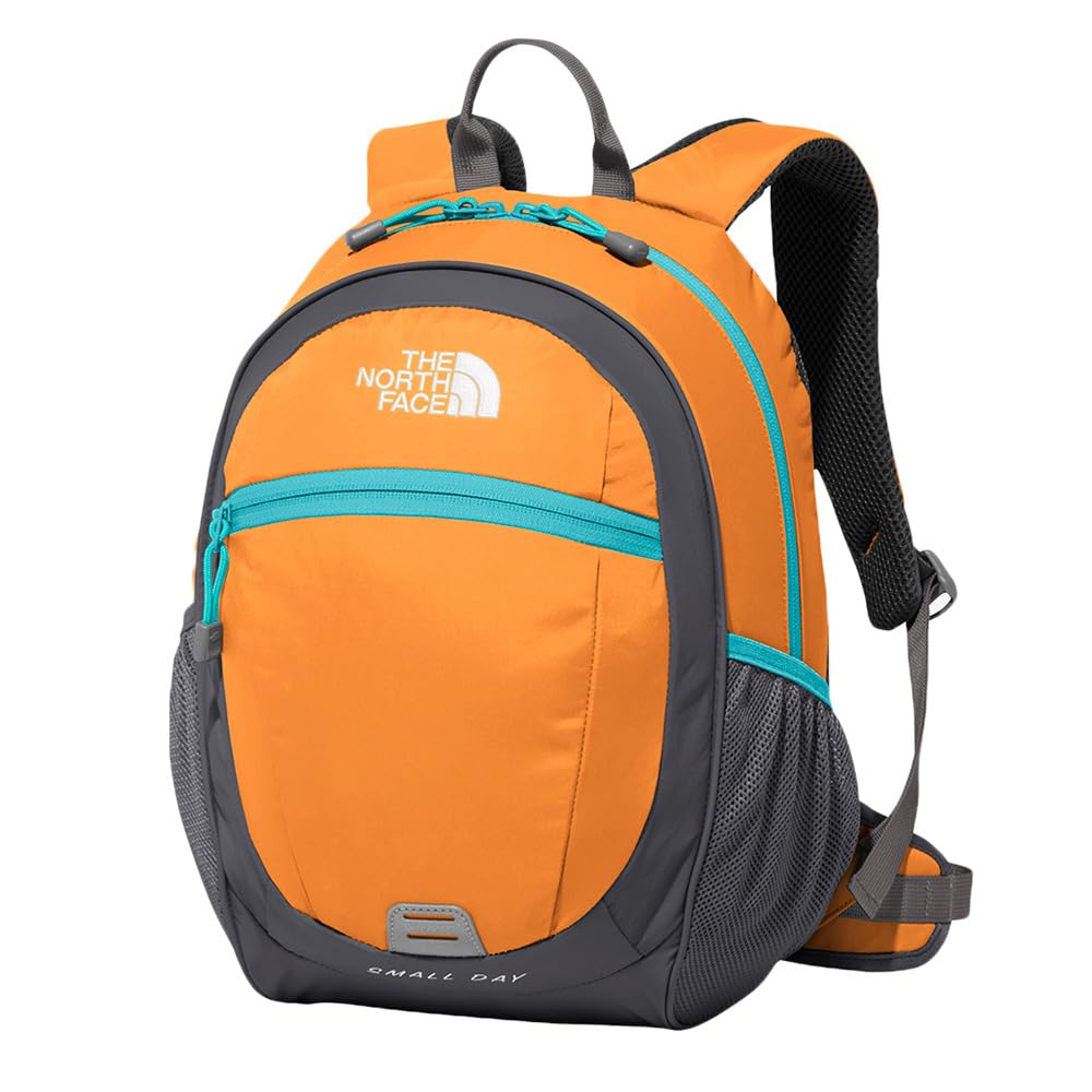 

North K Small Day Russet Orange [The Face]