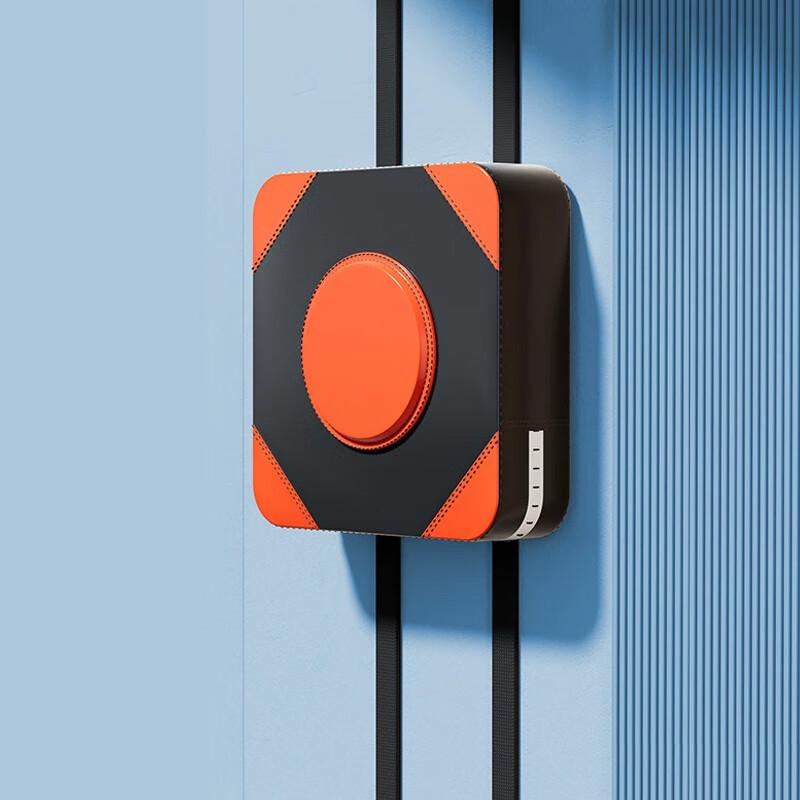Wall-Mounted Boxing & Kickboxing Target