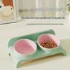 New Arrival: Slanted Double Cat and Dog Feeding Bowl