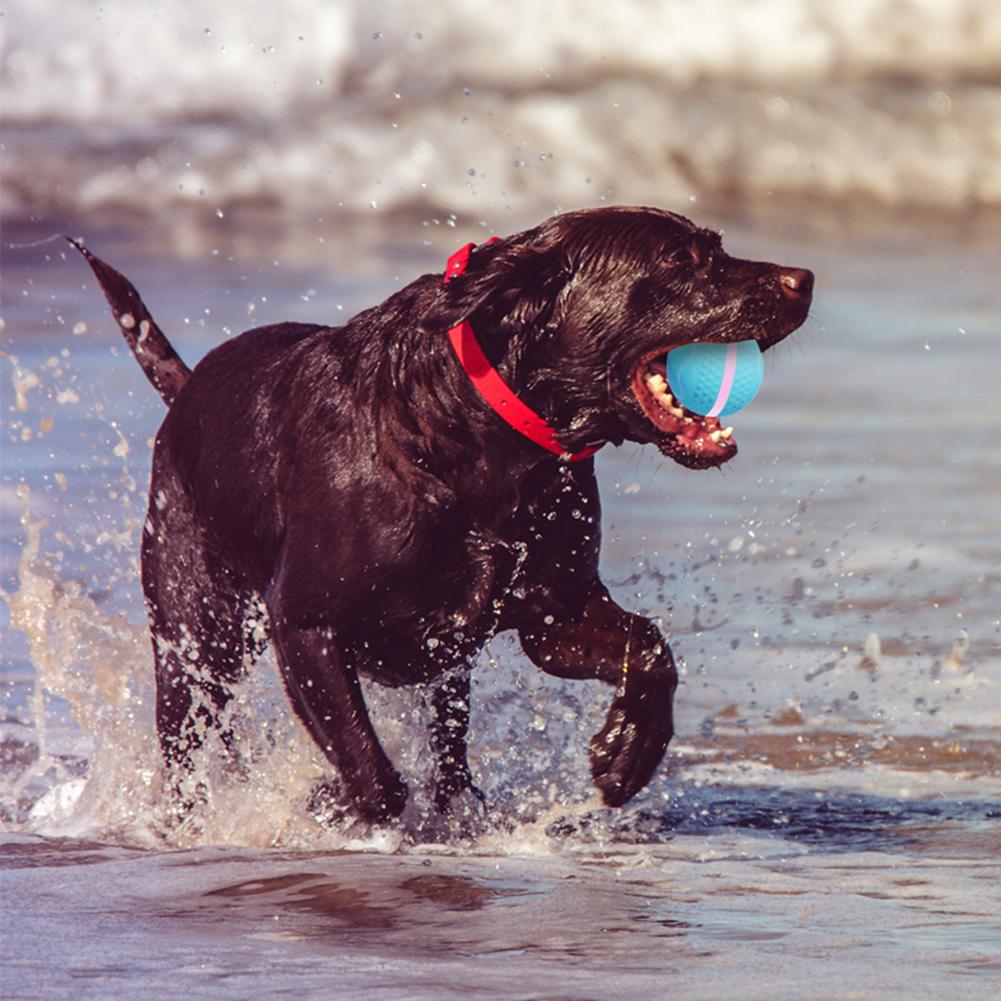 Active Rolling Ball USB Rechargeable Interactive Dog Ball with 2 Modes Smart Electric Ball Toy for Puppy/Small/Medium/Large Dogs