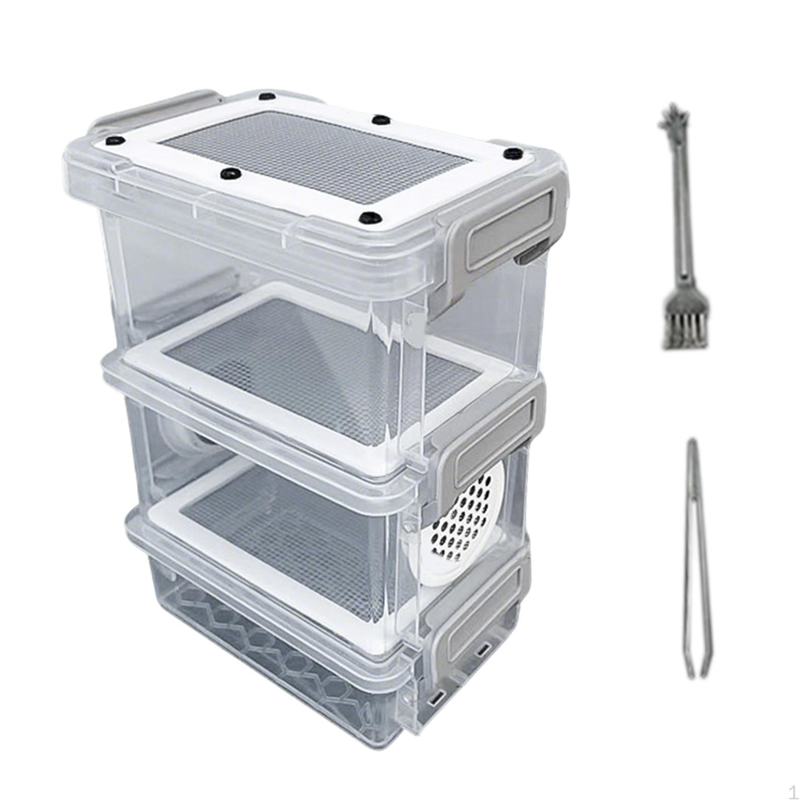 Box with Ventilation And Transparent Viewing Window. Removable Cleaning Insert. Portable for Care Style B