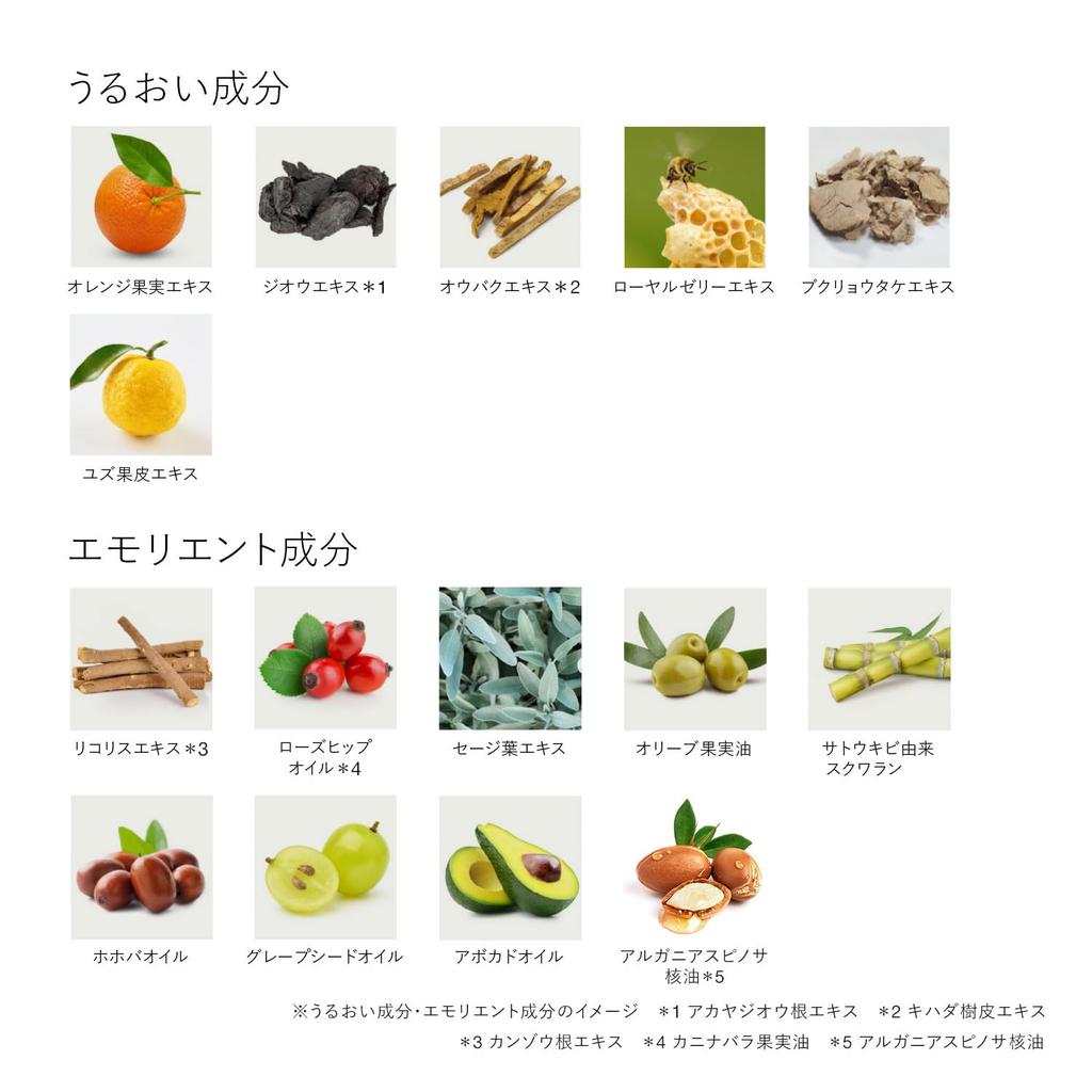 RMK Dual Treatment Oil 50mL - Facial Beauty Oil & Serum with Argan, Rosehip, Jojoba for Hydrating & Massage